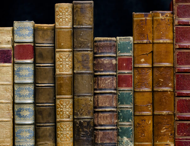 A row of antique books dating from 1838 to1894Bound in leatherBlank Spines