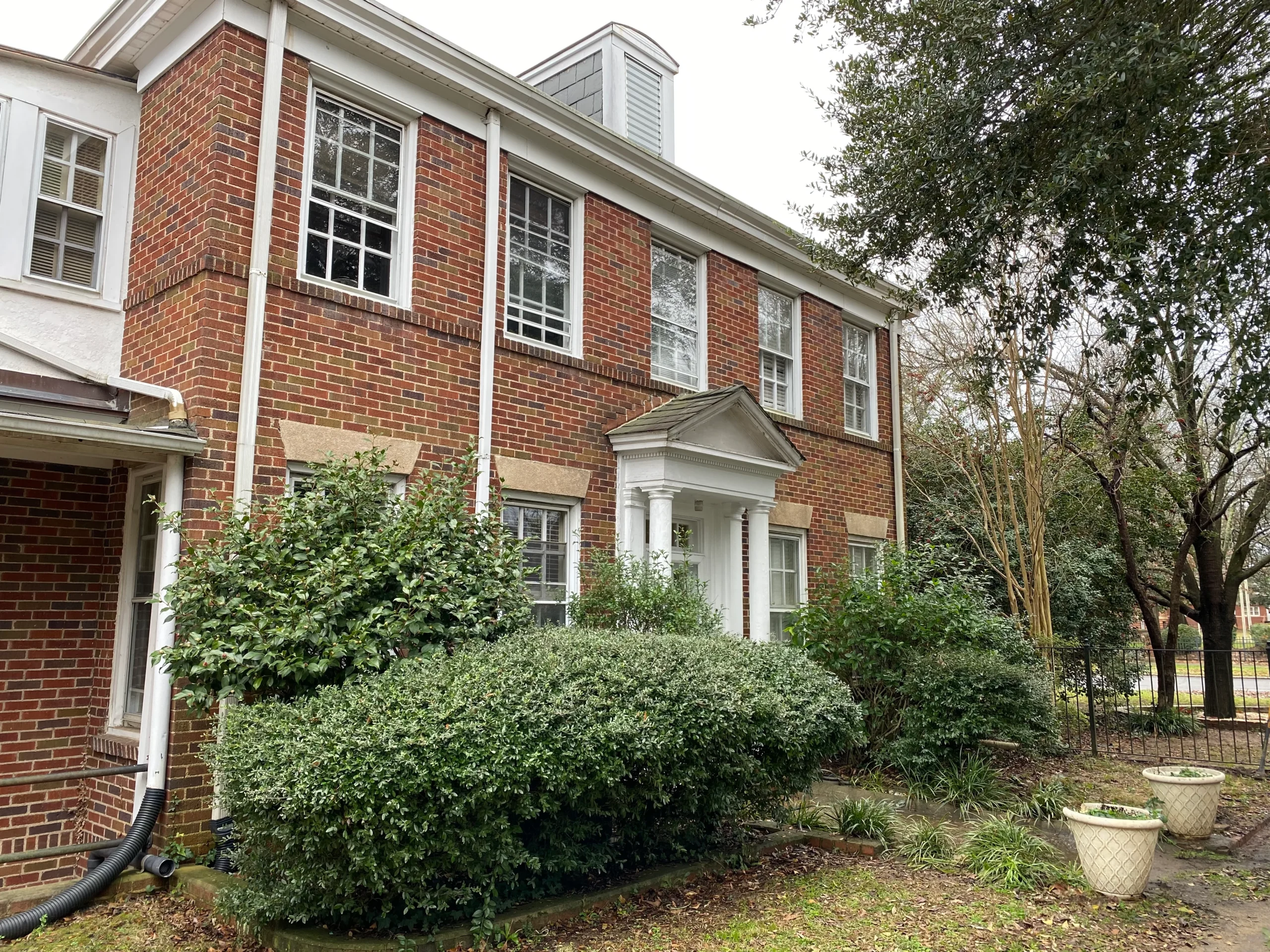 Inside Holly Williams’s Charming Tennessee Cottage